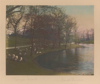 David Davidson: Spring's Delights