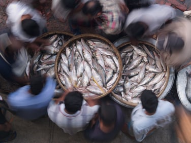 David H. Wells: Dhaka Fish Market