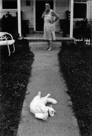 George Krause: Cat, Ocean City, Maryland