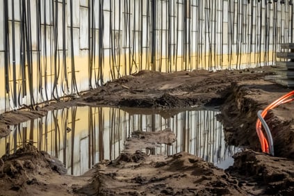 Steven Benson: Retaining Wall, Lake Buena Vista, Florida