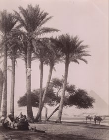 G. Sarolidos: Palm Trees with Pyramids, Egypt