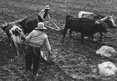 John Collier: Untitled (Plowing, Otavalo, Ecuador)