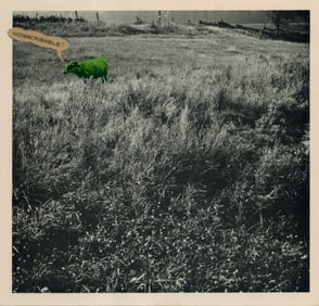 Harold Jones: Indescribable