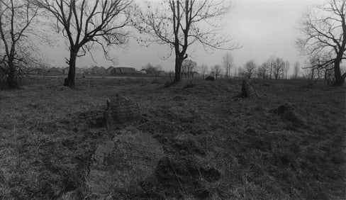 Alvin Gilens: Jewish Cemetery, Tykochin, Poland