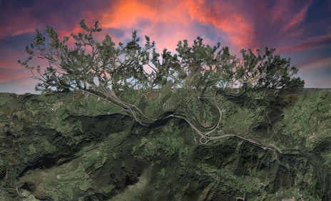 Tom Goodman: Acaragon