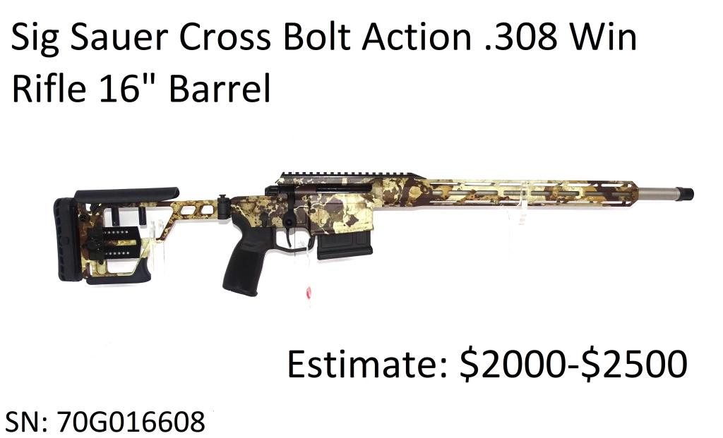 Sig Sauer Cross Bolt 308 Win Rifle: Sig Sauer Cross Bolt 308 Win Rifle
