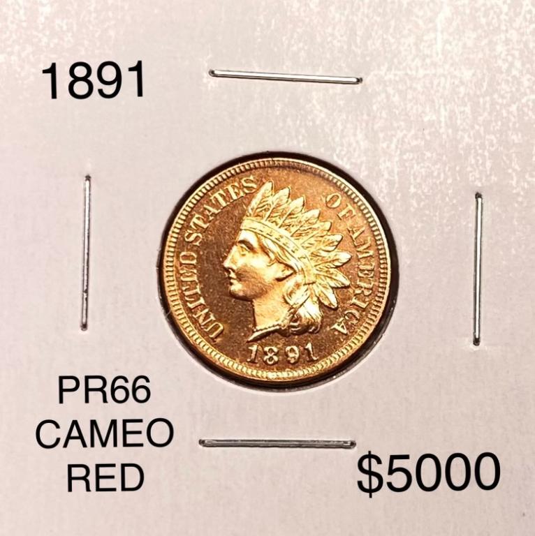 1891 Indian Head Penny SUPERB GEM PROOF CAMEO RD: 1891 Indian Head Penny SUPERB GEM PROOF CAMEO RD