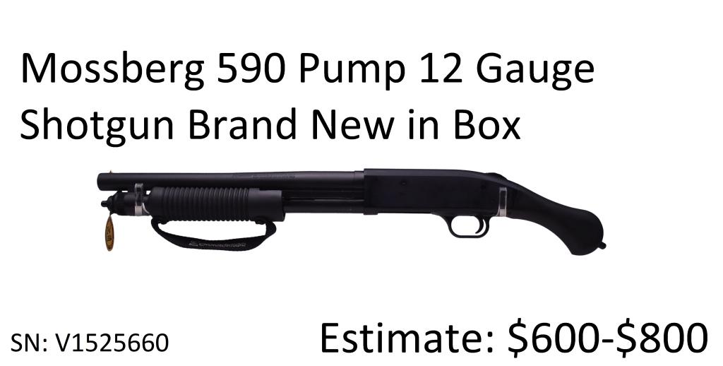 Mossberg 590 Pump 12 Gauge Shotgun: Mossberg 590 Pump 12 Gauge Shotgun