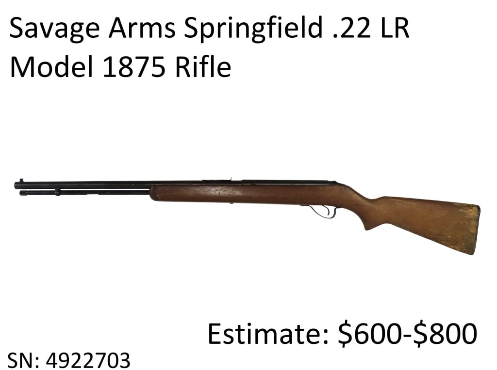 Savage Arms Springfield .22 LR Model 1875 Rifle: Savage Arms Springfield .22 LR Model 1875 Rifle