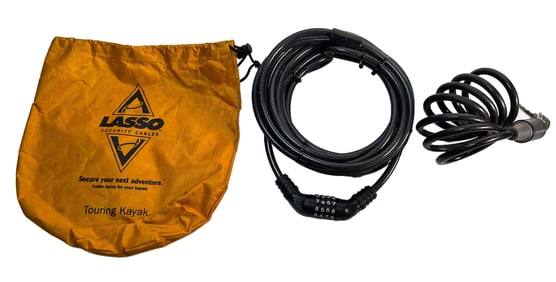 Set of Two Cable Locks with Carrying Case