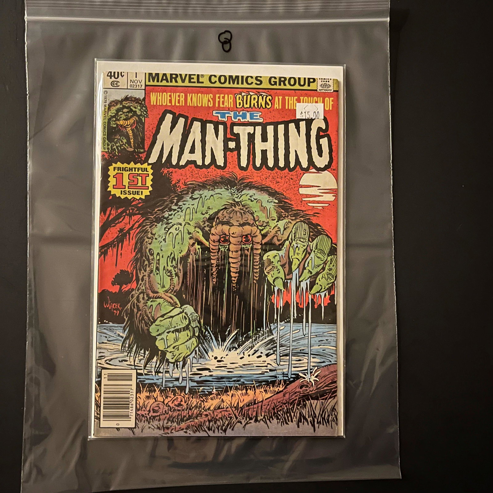 Man Thing 1 (1 of 1)