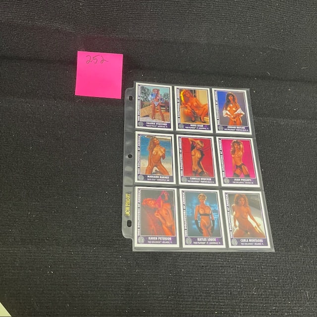 Dollhouses of America Risque Trading Cards: We are a veteran owned company. Please look at the pictures carefully to determine what you believe the condition of collecitible is. We are currently accepting consignments. Email us a aeronhouse1994