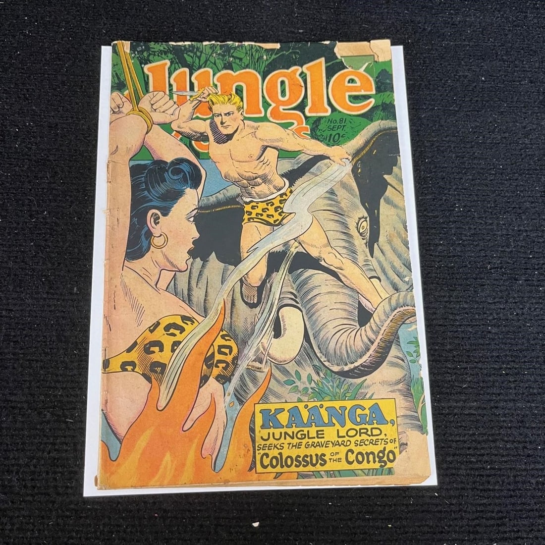 Jungle Comics 81 Joe Doolin Bondage Cover: Please look at the pictures carefully to determine what you believe the condition of collectible is. We are currently accepting consignments. Email us a aeronhouse1994@gmail.com or visit our website, 