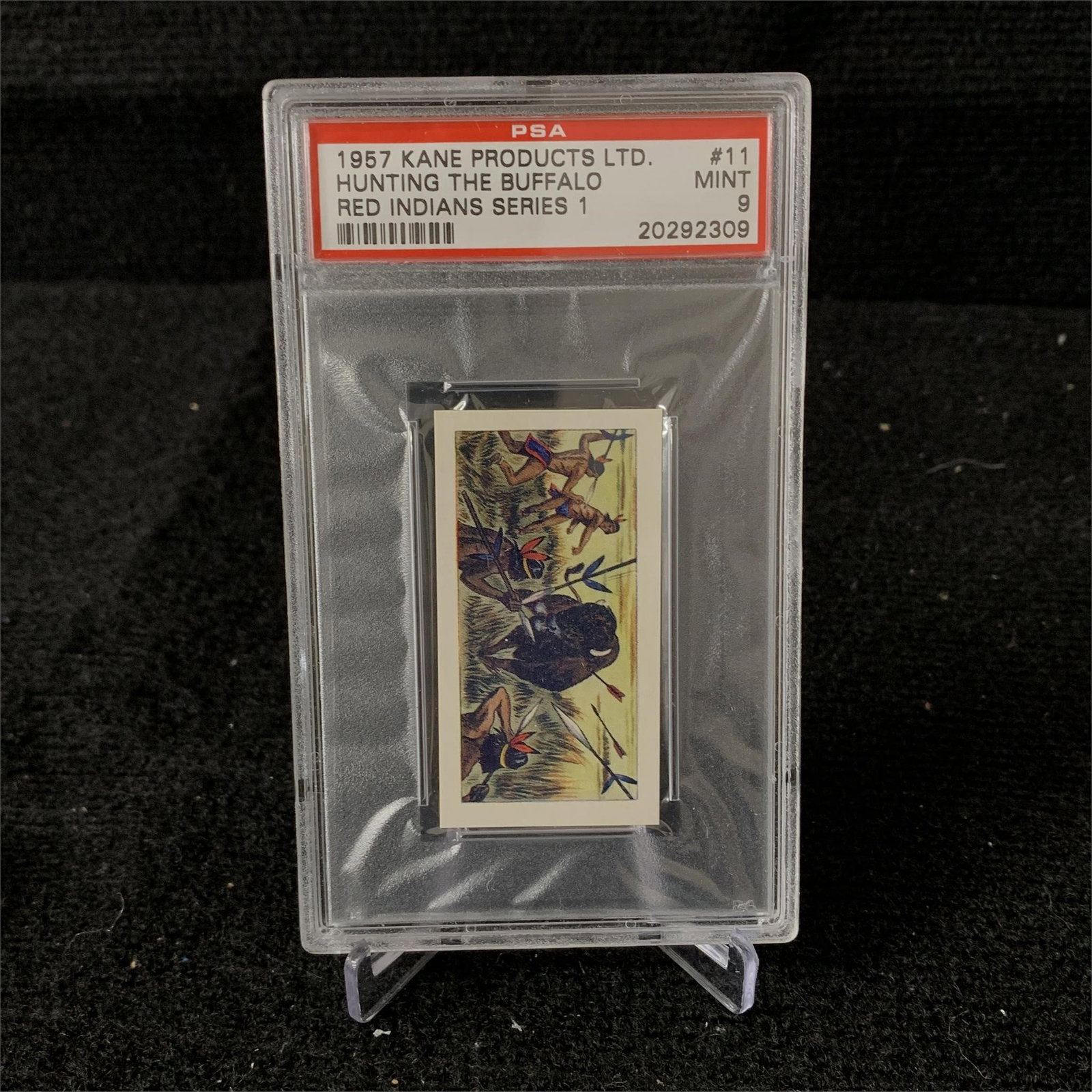 PSA 9 Hunting the Buffalo 1957 Kane: POP 5 PSA 9 Hunting the Buffalo #11 Kane Products 1957 Red Indians Series 1 Trading Card. We are a veteran owned company. Please look at the pictures carefully to determine what you believe the condit