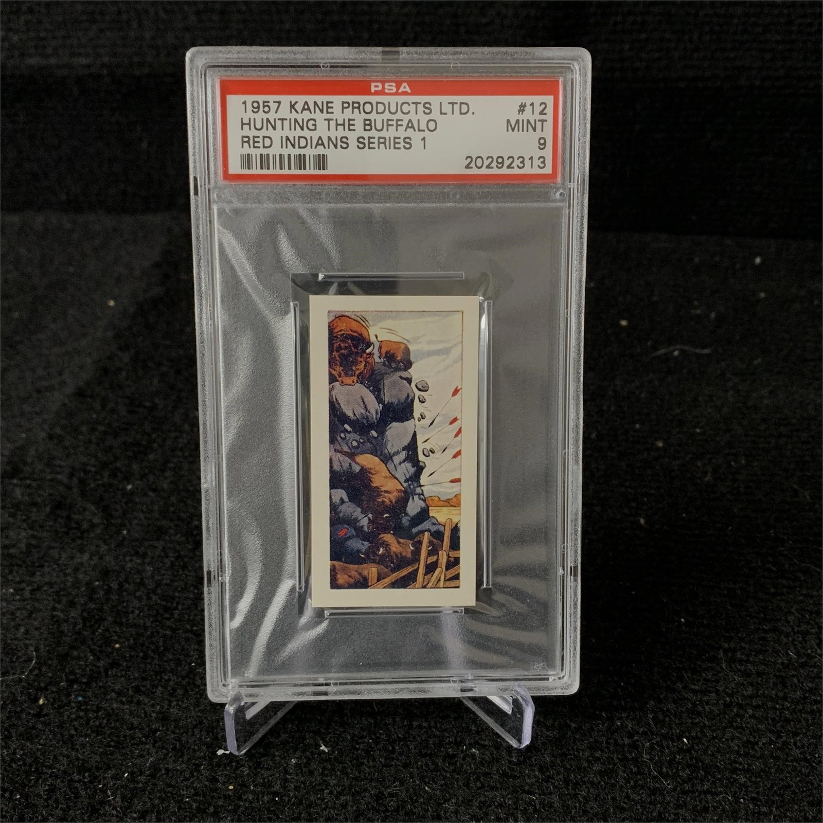 PSA 9 Hunting the Buffalo #12 1957 Kane: POP 5 PSA 9 Hunting the Buffalo #12 Kane Products 1957 Red Indians Series 1 Trading Card. We are a veteran owned company. Please look at the pictures carefully to determine what you believe the condit