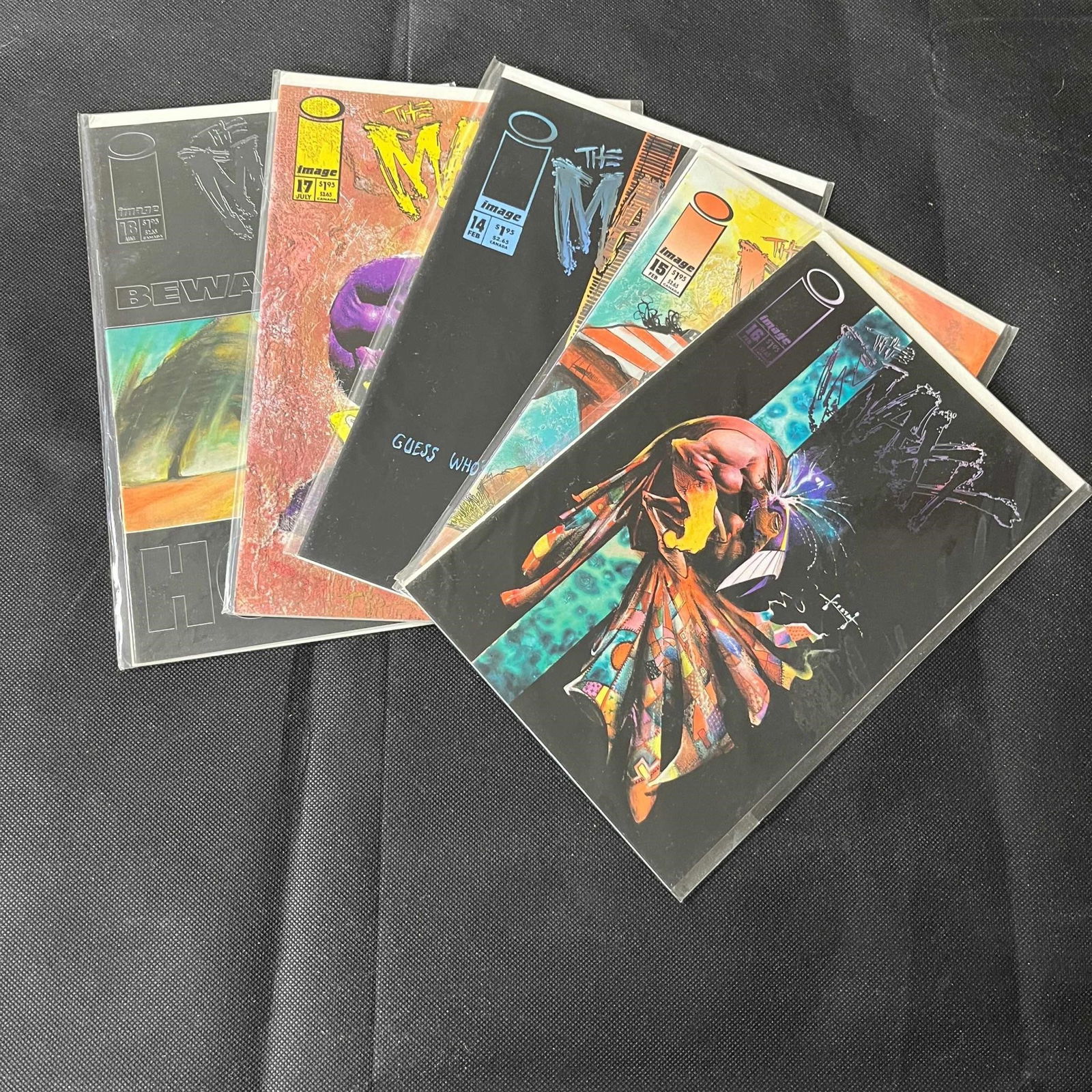 The Maxx Image Comics Series Comics (1 of 1)