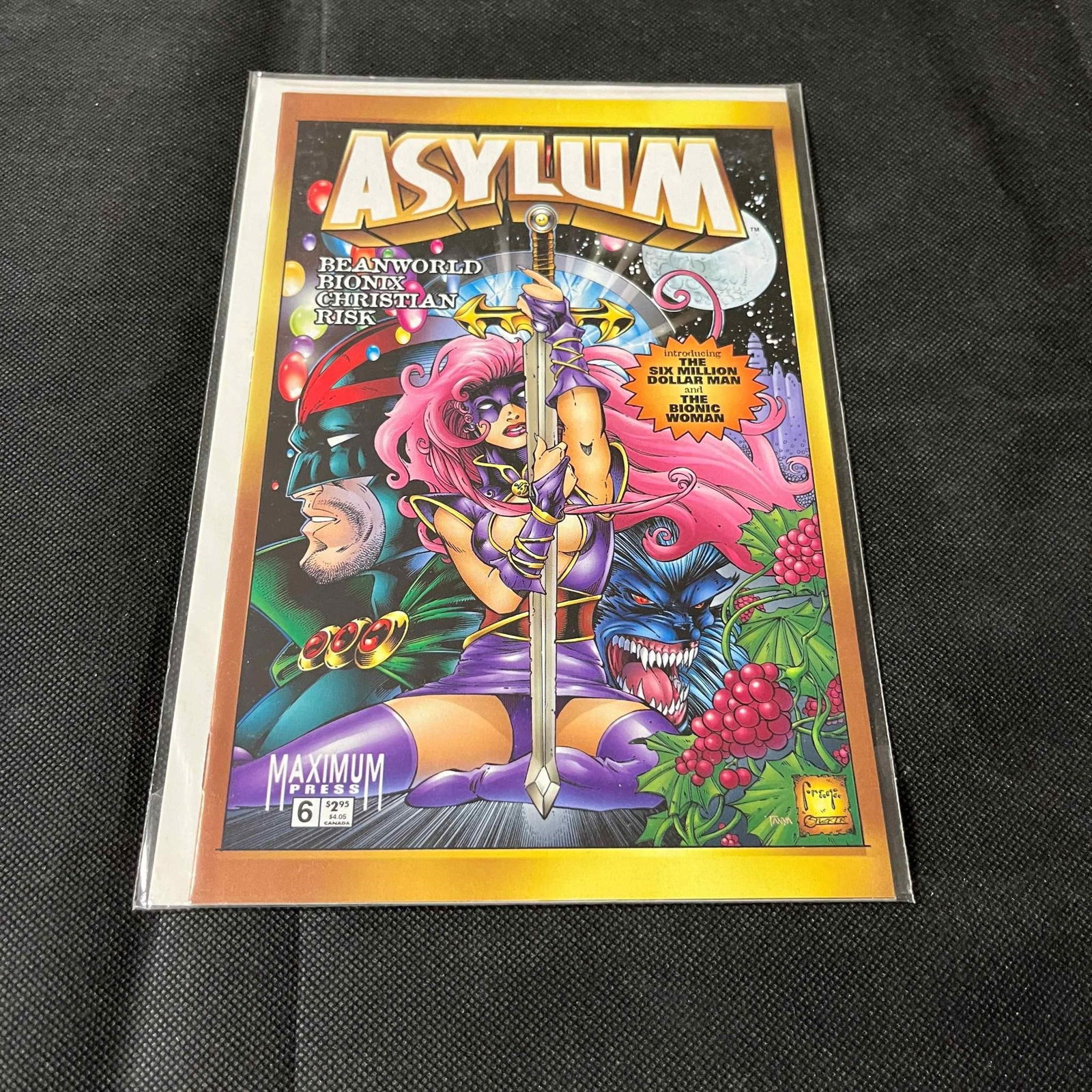 Asylum 6 Press Book Comics Series (1 of 1)