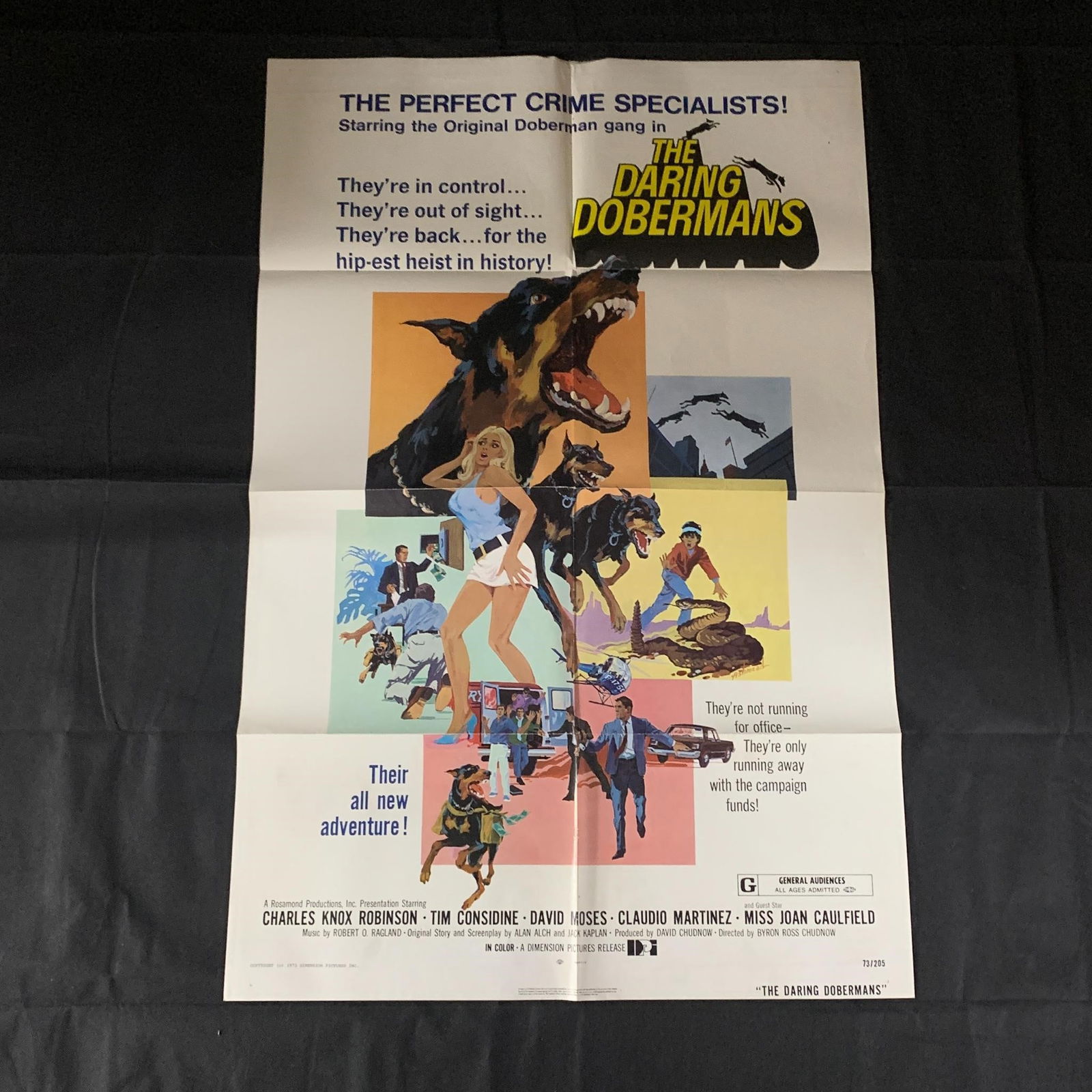 The Daring Dobermans Orginal Movie Poster (1 of 3)
