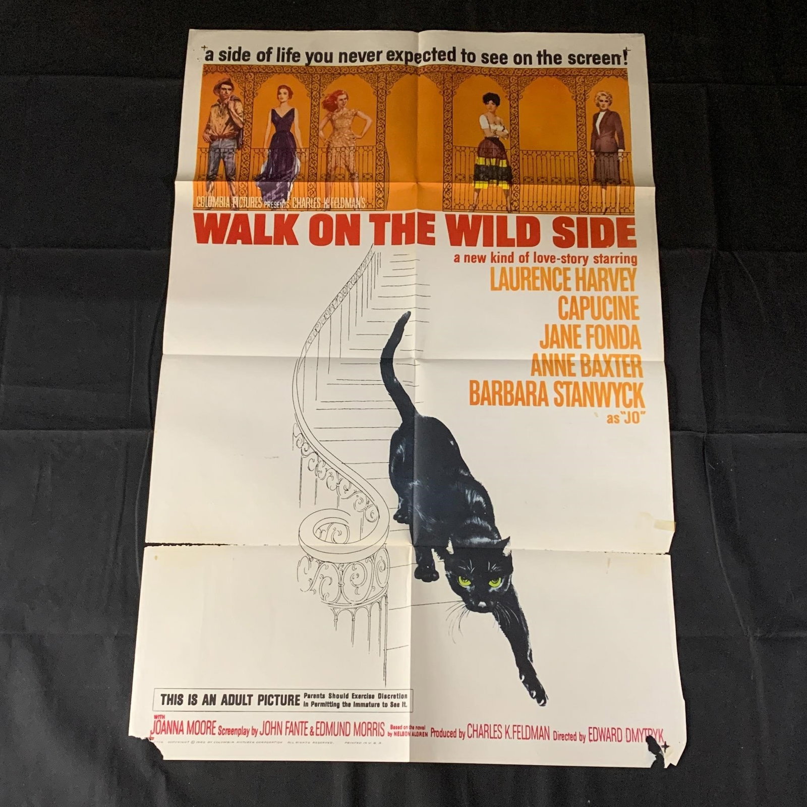 Walk on the Wild Side Original One-Sheet Movie Poster: Walk of the Wild Side Original 1962 Movie Poster. The posters in this auction belonged to a single owner. He owned movie theaters from the 50s-70s and would keep all of the posters for movies he showe