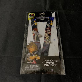 Kingdom Hearts Lanyard and Pins