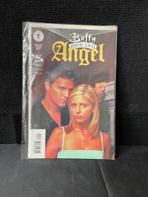 Buffy Vampire Slayer Angel 1