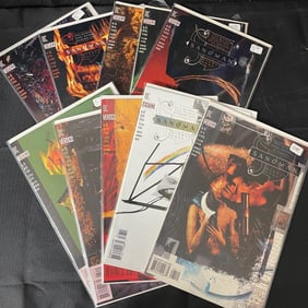 Large Sandman Comic Lot