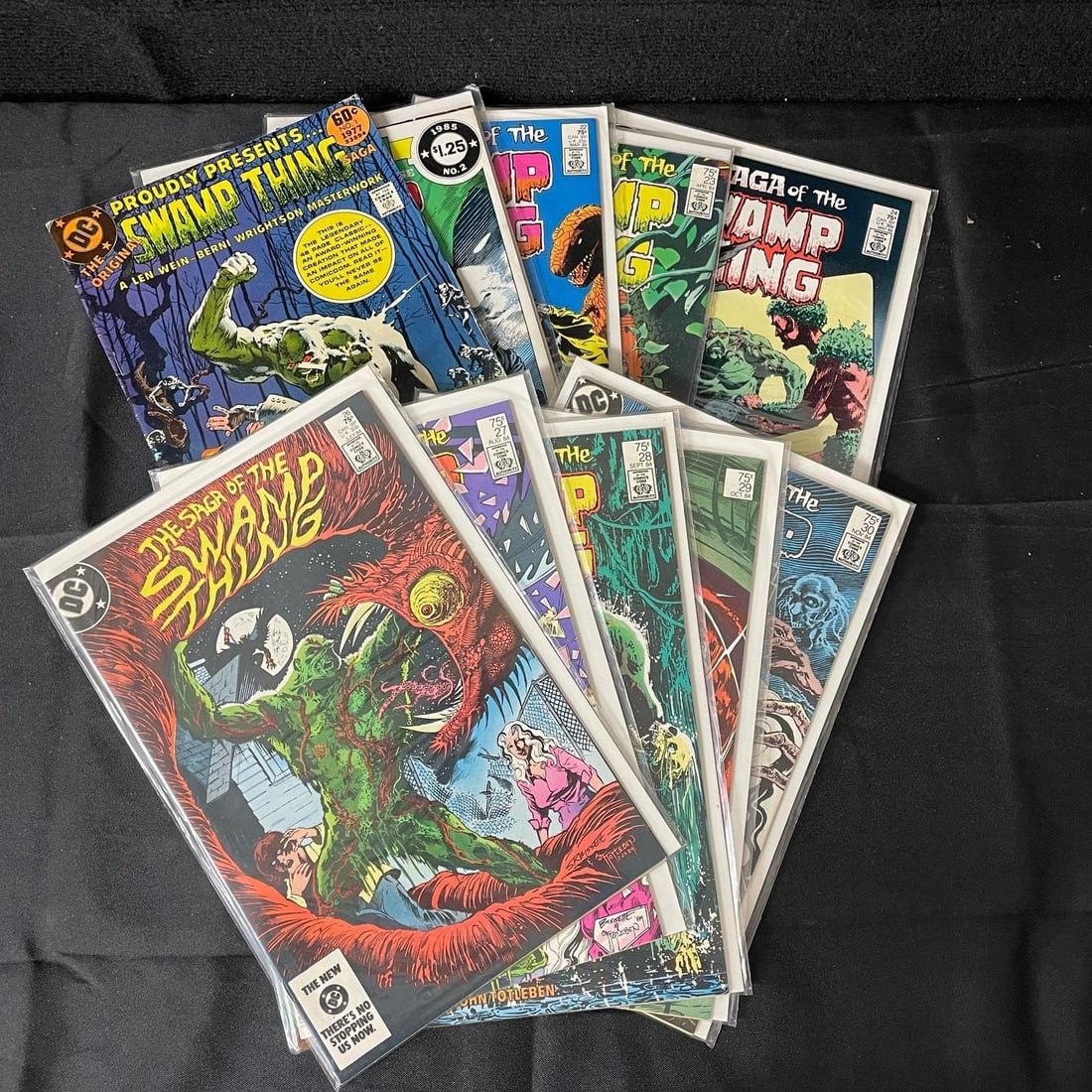 Swamp Thing Comic Lot (1 of 1)