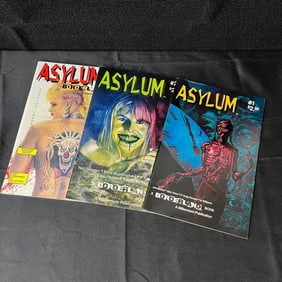 Asylum 1-3 Millenium Comics Ser. John Bolton + Art