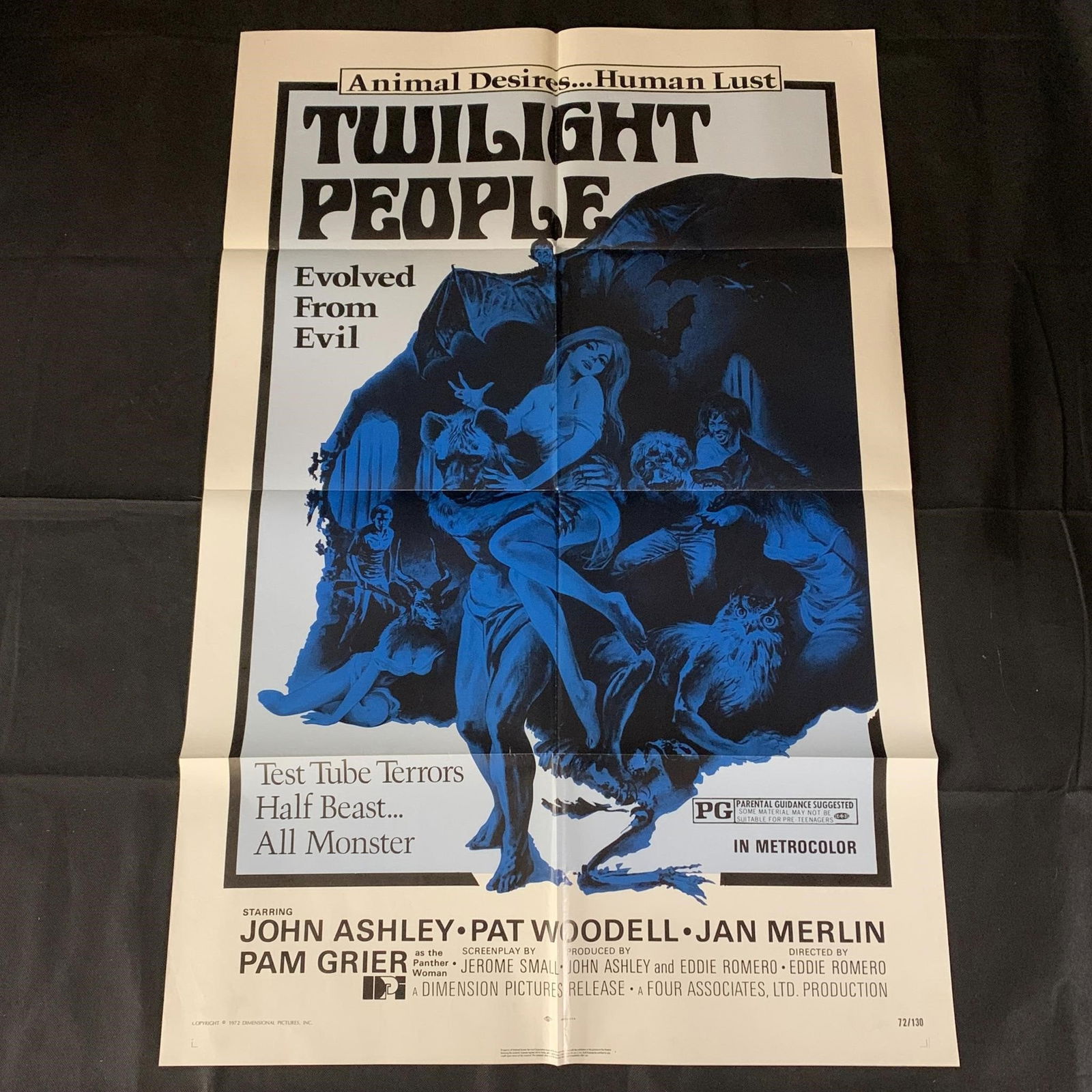 Twilight People Original Movie Poster (1 of 4)