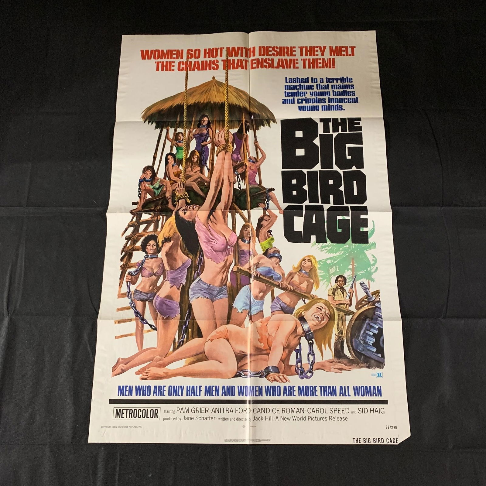 Big Bird Cage Original One Sheet Movie Poster (1 of 3)