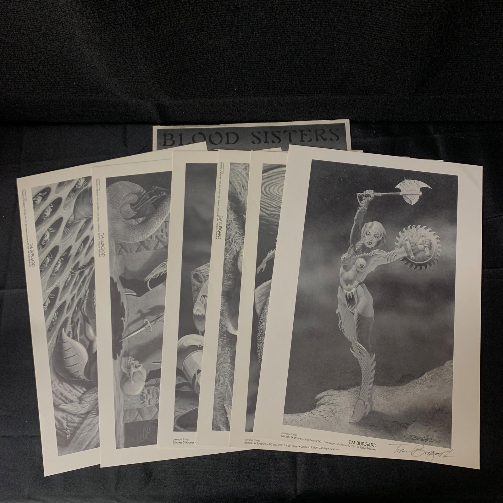 Blood Sisters Signed Tim Burgard Art Portfolio (1 of 7)