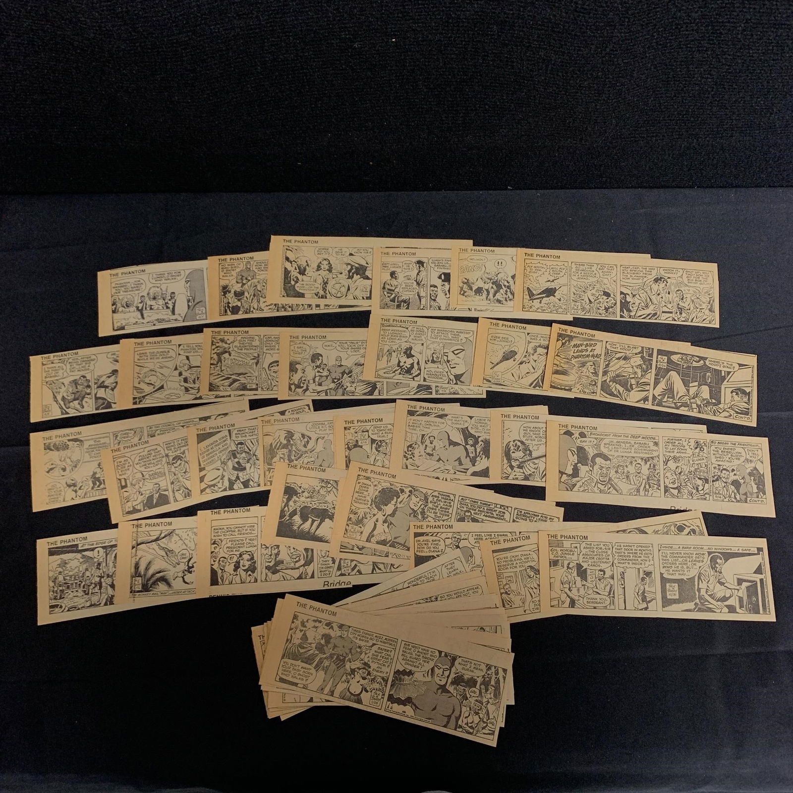 1979-1980 The Phantom Comic Strip Dailies (1 of 2)