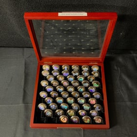 Holo Gold Plated U.S. State Quarters