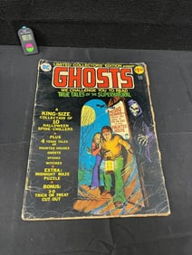 DC Limited CE Ghosts Large Comic