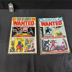 Wanted 3 & 4 DC Bronze Age Comics