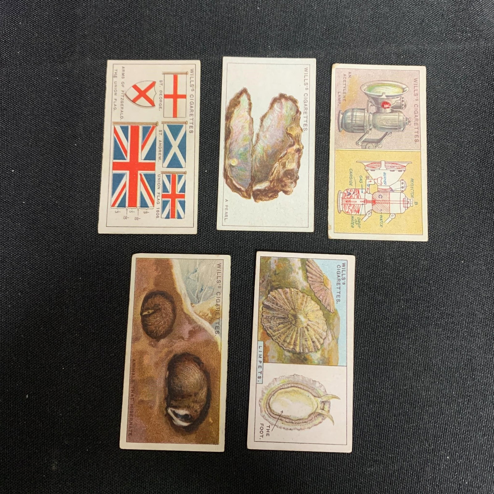 1924 Wills did you know 1st Series Cards (1 of 2)