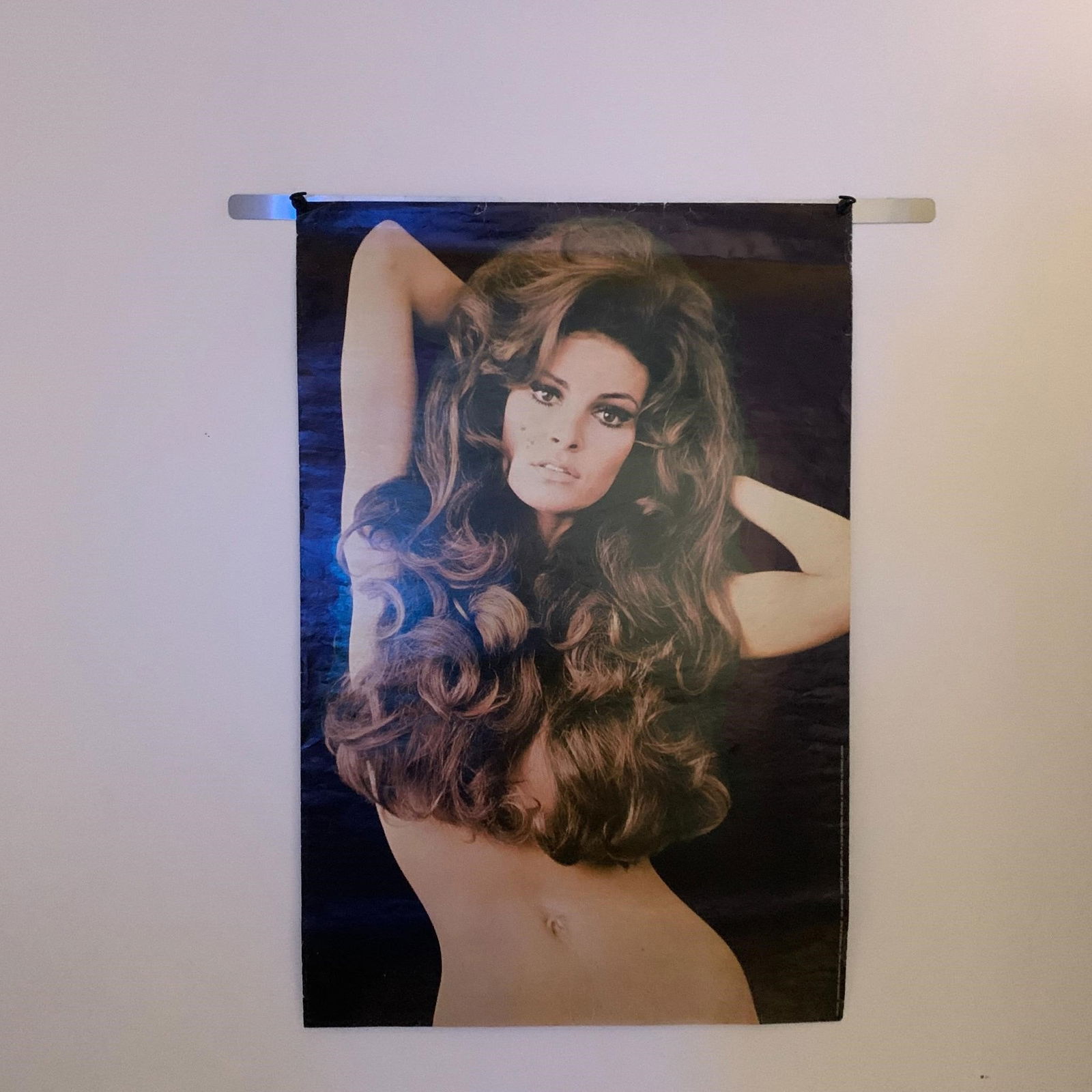 Large lot of Vintage Model Posters (1 of 11)