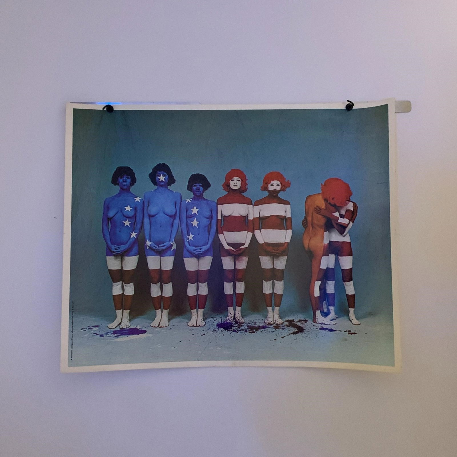 National Lampoon American Flag Poster (1 of 2)