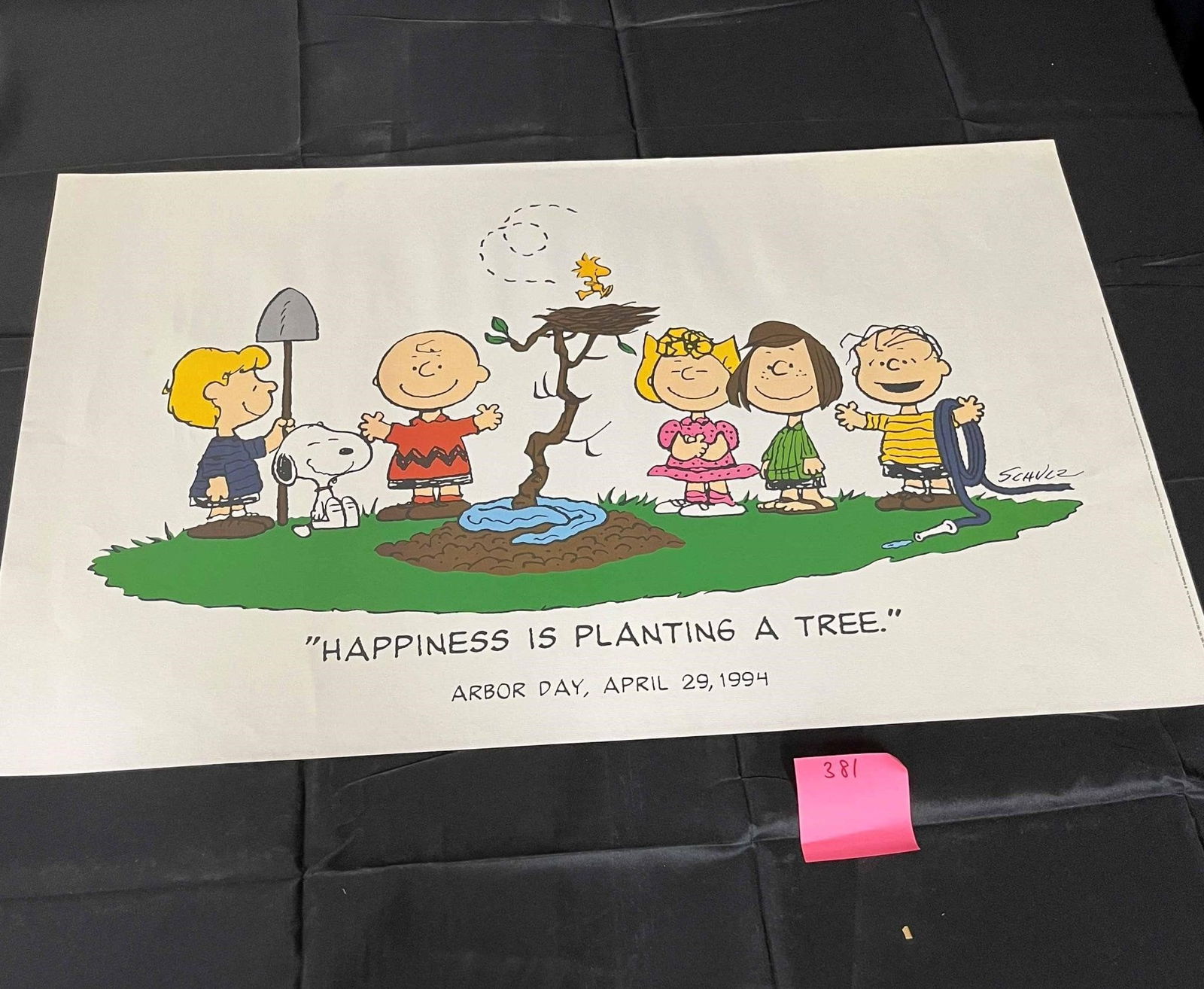 1994 Peanuts Poster (1 of 1)