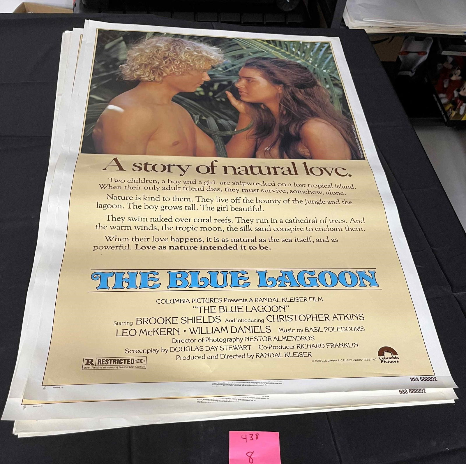 Blue Lagoon Original One Sheet Movie Poster (1 of 1)