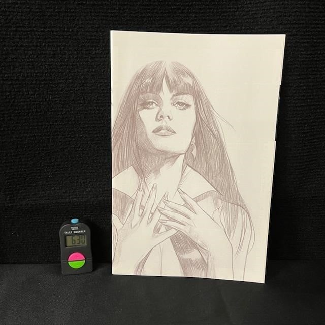 Vengeance of Vampirella 1 Sketch Edition Variant (1 of 2)