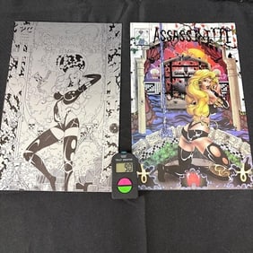 Assassinette Pocket Change Comics Lot