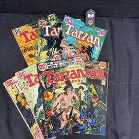 Tarzan DC Bronze Age Comics Joe Kubert Art