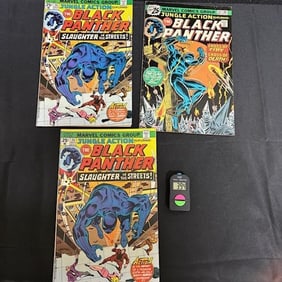 Black Panther Bronze Age Marvel Comics