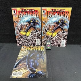 Black Panther Marvel Knights Series Comics