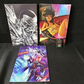 Group of LE Virgin Variant Cover Comics