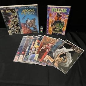 DC Vertigo Comic Lot w/ Animal Man