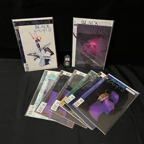 DC Vertigo Black Orchid Comic Lot