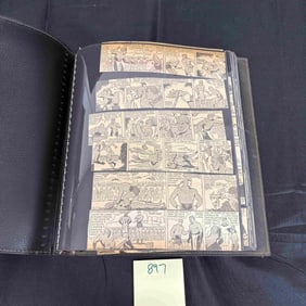 Phantom Binder 2 Huge Lot of Newspaper Dailies