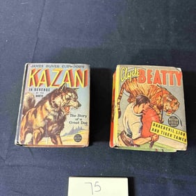 Jungle Action Platinum Age Little Books Group of 2